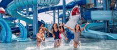 Aqua Park Pickalbatros Sungo Club